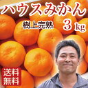 みかん ハウスみかん 3kg 大分県杵築産 お中元 お盆のお...