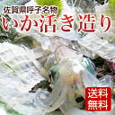 【送料無料】イカの活き造り 玄界灘(九州産) 活いか