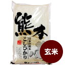 熊本コシヒカリ 【玄米】5kg 新米こしひかり コメ/米/こめ/新米/無洗米/28年度産新米