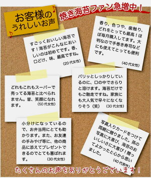 【送料無料】バラエティのりのり福袋焼き海苔も味付け海苔も楽しめる贅沢福袋【国際格安配送】fs3gm