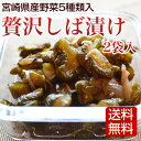 しば漬け 2袋入 宮崎県産野菜5...