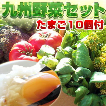 【送料無料】野菜セット たまご 10個付 九州 西日本 野菜 野菜セット...:asagohanhonpo:10001234