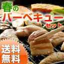 【送料無料】バーベキュー野菜セット 九州野菜とお肉3種類入りのお得セット