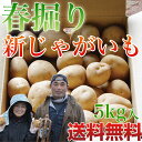 【送料無料】春掘り 新じゃがいも 5kg 男爵芋/出島