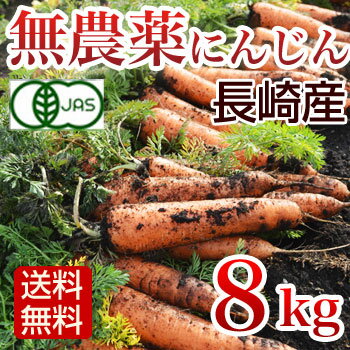 有機にんじん 無農薬 にんじん 8kg入 JAS認定 【送料無料】...:asagohanhonpo:10002575