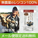 れんこんパウダー 無農薬 離乳食 野菜パウダー 粉末野菜