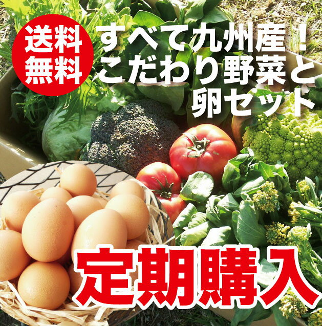 【定期購入】【送料無料】九州のこだわり野菜と朝うみたて卵セットご希望の日にお届けします！