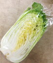 白菜(半玉) 福岡産