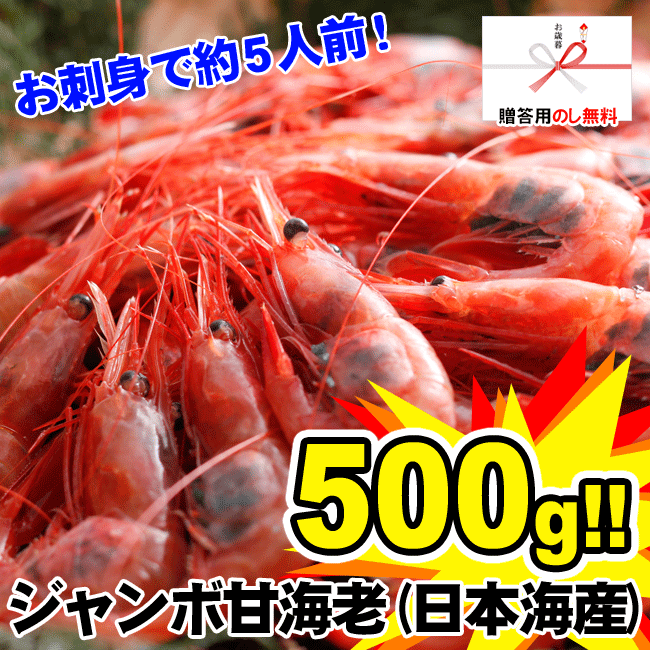 【お中元　のし無料】ジャンボ山陰日本海甘海老500g前後（30〜35匹）【冷凍】（えび・エビ・甘海老・甘えび・甘エビ）【配送日時指定OK】【楽ギフ_のし宛書】