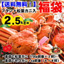 【レビューを書いて送料無料!】【松葉ガニ】☆ブランド松葉ガニ入り福袋☆プレミア☆【配送日指定OK】【冷凍】釜茹で松葉ガニ700g前後×2杯&訳ありセコガニ1kg前後(6?8杯)合計2.4kg前後詰めました!
