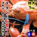 【送料無料!】松葉ガニ1kg前後(1杯)(カニ・かに・松葉ガ...