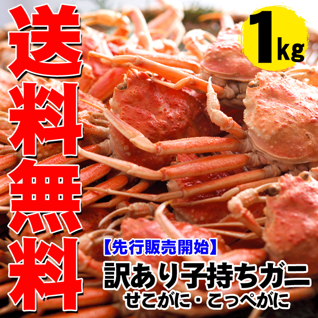 【レビューを書いて送料無料！】【訳あり】【せこがに】釜茹でセコガニ1kg前後（6〜8杯）（カニ かに ズワイガニ かにみそ 松葉ガニ せこ蟹 セコガ...