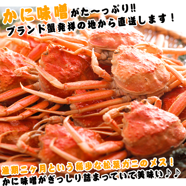 【レビュー記入で送料無料!】【訳あり】【せこがに】釜茹でセコガニ1kg前後(6?8杯)(カニ かに ズワイガニ かにみそ 松葉ガニ せこ蟹 セコガニ こっぺがに コッペガニ)【津居山港・香住港・柴山港水揚げ】【楽ギフ_のし宛書】【Yep_100】