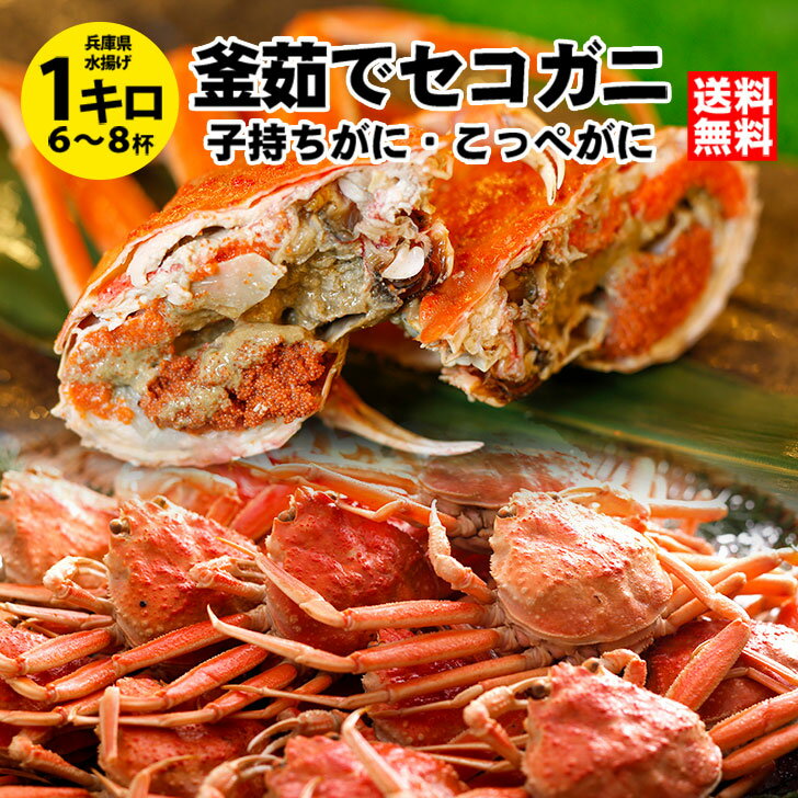 食品ランキング第1位獲得実績　レビュー500件以上　釜茹でセコガニ1kg前後（6〜8杯・指折れ含む） 送料無料 兵庫県 城崎温泉 <strong>カニ</strong> かに せこがに 香箱ガニ セイコガニ 訳あり ズワイガニ かにみそ 松葉ガニ 越前ガニ せいこ蟹 セコガニ コッペガニ 津居山 柴山