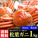 【送料無料!】【松葉ガニ】訳あり松葉ガニ(小)1kg前後(2...
