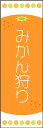 のぼり旗『みかん狩り 01』