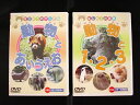 【メール便OK！】　【特価80％OFF！】　動物とはじめてのおべんきょうシリーズ　DVD　 【Fa_3/4_4】