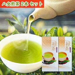 お茶 ワンコイン 八女茶 100g 2本<strong>セット</strong> 深蒸し茶 煎茶 緑茶 深蒸し茶 日本茶 茶葉 お茶葉 <strong>急須</strong> 国産 福岡 八女 通販 贈り物 贈答品 健康 深むし茶 カテキン 九州 八女 国産 深むし茶 茶葉 贈り物 リーフ 1000円ポッキリ 送料無料 買い回り