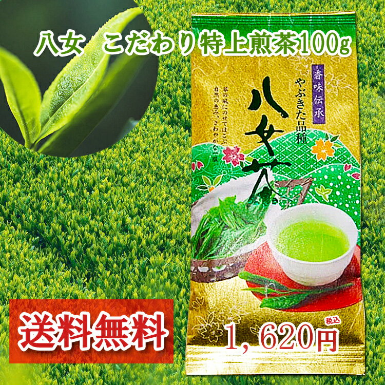 【2012年新茶になりました。】【送料無料】やぶきた品種の特上八女茶　秀 100g