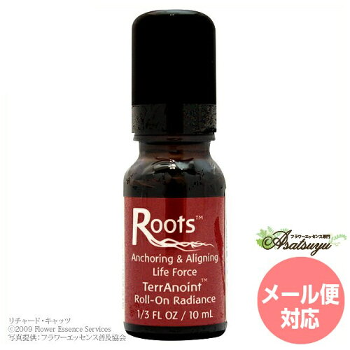 https://thumbnail.image.rakuten.co.jp/@0_mall/asatsuyu/cabinet/commodity19/normal/commodity2/ffes09004.jpg?_ex=500x500