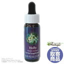 ホリー(7.5ml) Holly FESフラワーエッセンス リサーチバッチ キャンセル不可商品 メール便