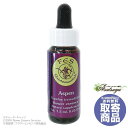 総決算大セール アスペン(7.5ml) Aspen FESフラワーエッセンス リサーチバッチ キャンセル不可商品 メール便