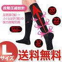 正規品 NEW クラウディアマジックソックス Lサイズ ブラ...