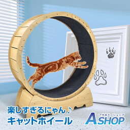 ☆★5/5迄店内全品P5倍★☆【送料無料】キャットホイール 猫 低騒音 回し車 猫専用ルームランナー 猫ホイール 室内運動用 トレッドミル キャット ホイール ローラー 自走式 ルームランナー 観覧車 安全 エクササイズ トレーニング おもちゃ ランニング ペット用品 pt071