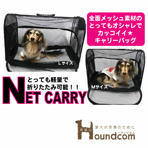 ̥åǺǤǥå꡼ХåڤƥѥȤǭѥ꡼å奭꡼ͥåȥ꡼L05P13sep10