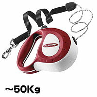 ư˹碌ƿӽ̤ߡڿ̥꡼ɡۡڤ󤻾ʡۥեåԡȥ顼5m05P17aug10