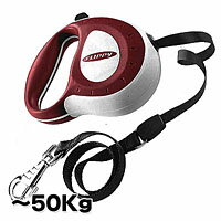 ư˹碌ƿӽ̤ߡڿ̥꡼ɡۡڤ󤻾ʡۥեåԡȥ顼5mơ05P17aug10