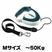 ư˹碌ƿӽ̤ߡڿ̥꡼ɡۡڤ󤻾ʡۥեåԡǥåM5m05P17aug10