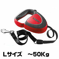 ư˹碌ƿӽ̤ߡڿ̥꡼ɡۡڤ󤻾ʡۥեåԡǥåL5mơ05P17aug10