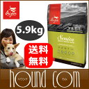 オリジン ドッグフード こだわりの原材料ならオリジン Orijen シニア老犬用 【5.9kg】健康な毎日をオリジンで プレミアムフードならオリジン