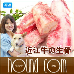 近江牛の生骨！無添加デンタルケアSサイズ（小型犬用）【歯磨き】【あす楽対応_近畿】05P14feb11