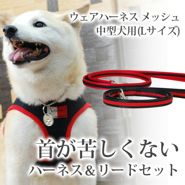 犬用ハーネス ASHUウェアハーネス リードセット L 小型犬 中型犬 喉 器官に優しい …...:ashu:10006072