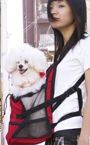 äФǰ¿̵եȥڥåȥꥢ05P13sep10