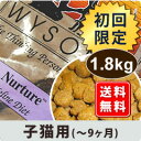 【初回限定！レビューを書いて送料無料】無添加　キャットフード　WYSONG ワイソン　ニューチャー　1.8kg　【子猫用キャットフード】【HLS_DU】【1207P05】【HLS_DU】