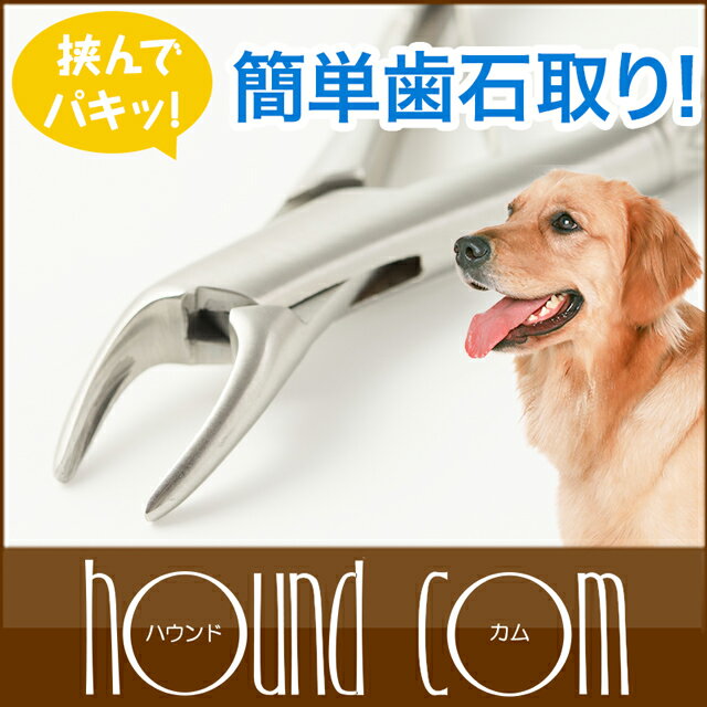 愛犬・愛猫用歯石取りペンチ【犬 歯石 口臭 歯磨き デンタルケア 歯石取り 気になる歯垢や…...:ashudog:10011397