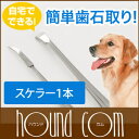 愛犬(猫)用スケラー 犬猫 口臭 歯磨き デンタルケア 歯石取り 歯垢 歯石除去用品 ハミガキ【歯みがき はみがき デンタル 歯石とり ペット用品 犬用品 猫用品 口臭対策 口臭予防 口臭ケア わんこ 犬グッズ 犬歯石取り 歯石除去 犬 柴犬 トリミング ペットグッズ】【a0269】