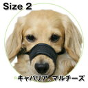 犬のしつけに メッシュマズル No.2 ペット用品 ペットグ...