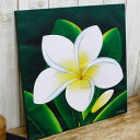 アジアン アート[プルメリア40x40cmBタイプ