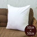 角型ヌードクッション50×50cm四角形(60904)【ヌードクッション 50cm 50×50cm 四角いクッション 正方形 角型 四角形 クッション 中身 クッションカバー用 インテリア アジアン雑貨 スクエア アジア雑貨 バリ雑貨 南国リゾート バリ島 お昼寝 リビング】