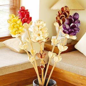 JtR[[tubT A[gvc5FWJ[10571-10572-10573-10574-10575]yo IuWF AWA u AWAG nCAG i` u tFCN Ԃ nC ][g AWAG oG CeAG ԏz