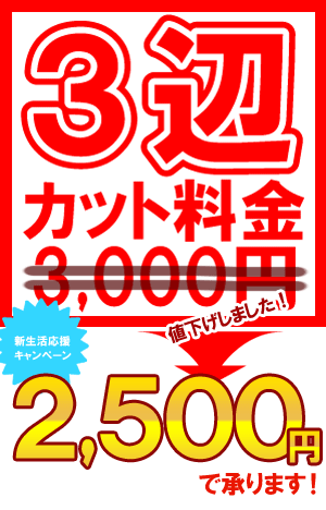 ウッドカーペット3辺オーダーカット料金【フローリングリフォームカーペット加工料】【フローリングカーペット加工料】送料無料【％OFF セール sale】【SBZcou1208】