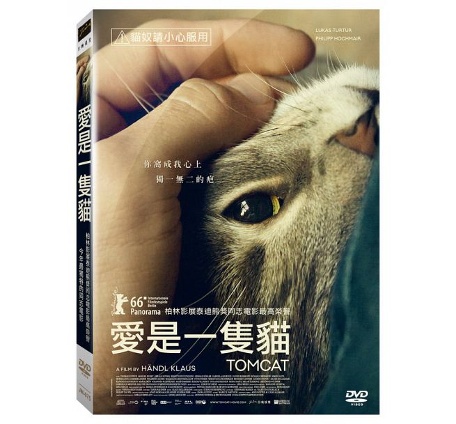 オーストリア映画/ Tomcat（Kater） (DVD) 台湾盤 愛是一隻猫 LGBT映画...:asia-music:10022699