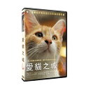 映画/ 猫が教えてくれたこと (DVD) 台湾盤 Kedi 愛猫之城