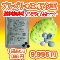 【送料無料】ブルーベリー*ノニ*ルテイン玉100粒入6袋セットノニ果実100％！/錠剤サプリメント