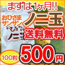 ご新規様■初回限定ワンコイン1袋限り【メール便送料無料※クレジット払いの場合】ノニ果実100％！おひさまサンサンノニ玉ノニジュースが苦手な人にオススメノニ錠剤ノニサプリメント/ノニ酵素