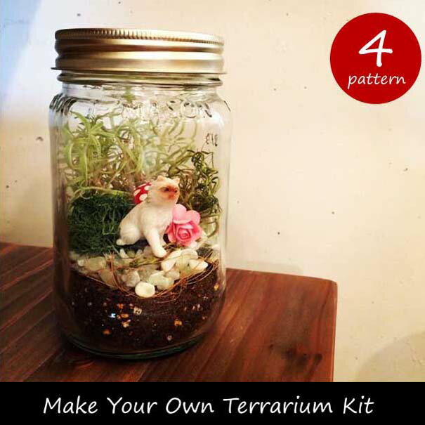 Make Your Own Terrarium Kit メイクユアオウンテラリウムキット …...:asquisse:10001411